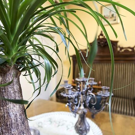 Luna Apartment Novi Sad Ngoại thất bức ảnh