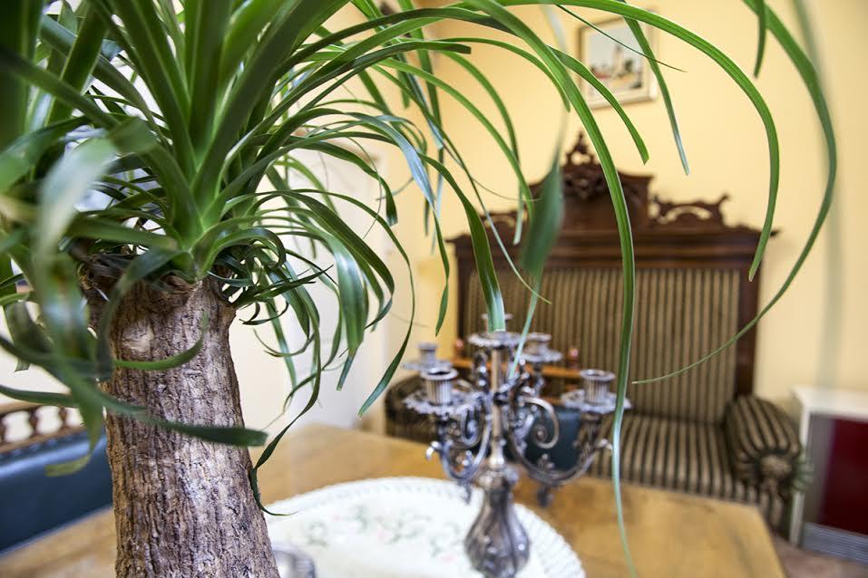 Luna Apartment Novi Sad Ngoại thất bức ảnh